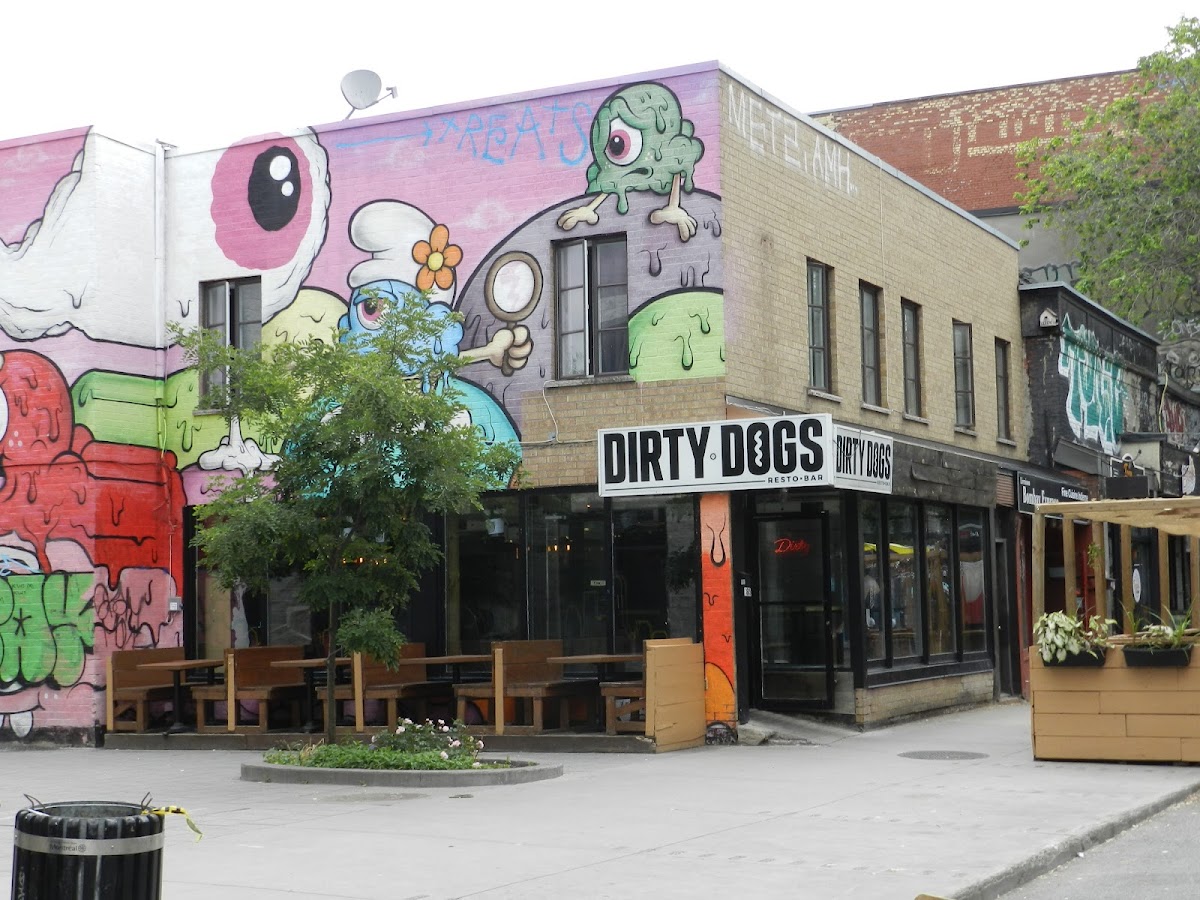Dirty Dogs